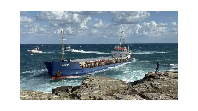 Kocaeli'de Kargo Gemisi Karaya Oturdu: Mürettebatın Dakikalarca Süren Çilesi!