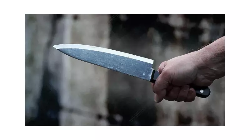 Kocaeli'de Parkta Çıkan Bıçaklı Kavga: 2 Yaralı, 1 Gözaltı!