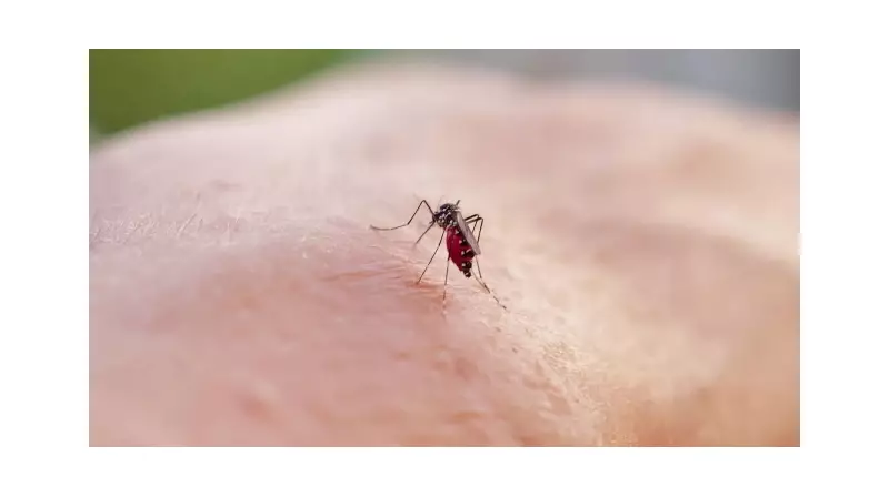 Komşuda Virüs Alarmı! İki Can Kaybı ve Gizemli Hastalık Endişe Yarattı