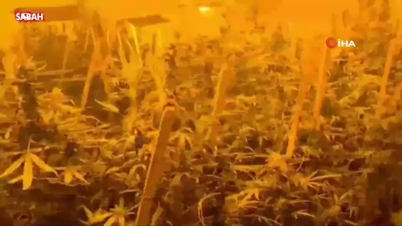 Konya'da Konteyner Skandalı: İklimlendirme Sistemiyle Uyuşturucu Fabrikası!