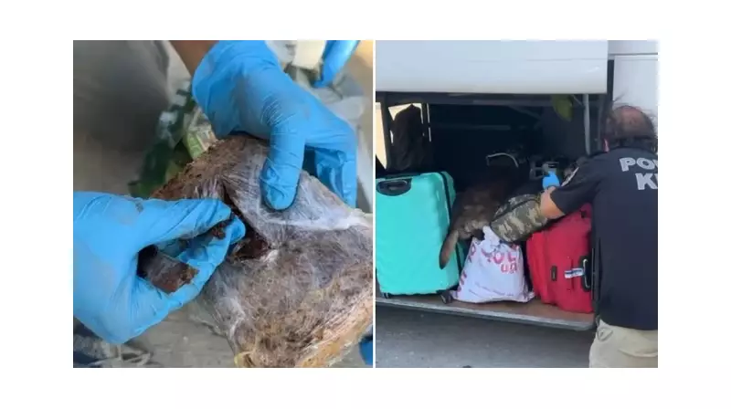 Kırmızı Biber Maskeli 7 Kilo Eroin: Otobüste Dehşet Engel!