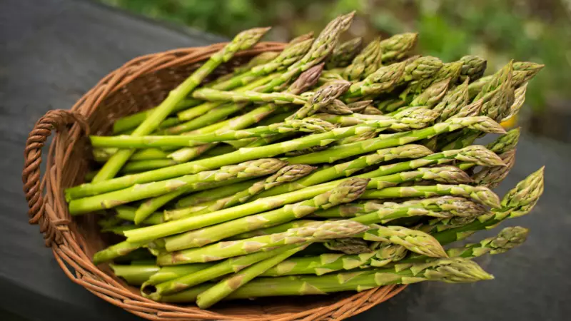 Küskonmazın Şaşırtan Faydaları: Sadece 5 Kalori ile Sağlığınızı Koruyun!