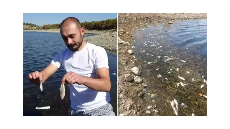 Kütahya'da Yaşanan Toplu Balık Ölümleri Endişe Yarattı: İnceleme Başlatıldı!