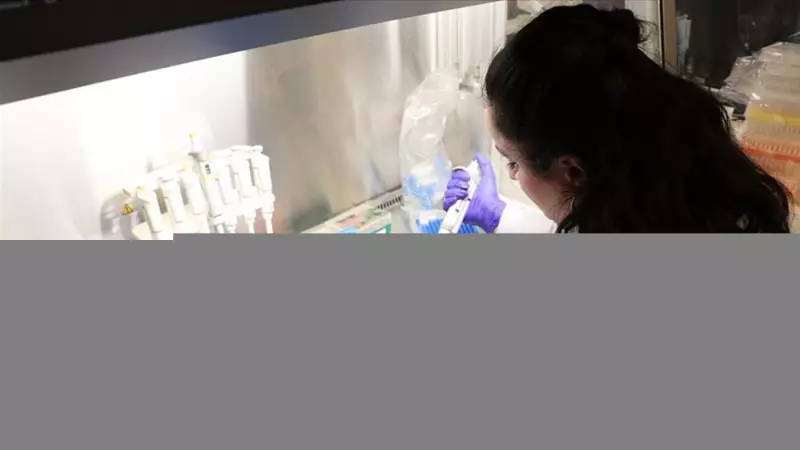 Kütahya'dan Devrim Niteliğinde Bir Buluş: Bor Mineralli Ürünle Bağırsak Hastalıklarına Çare!