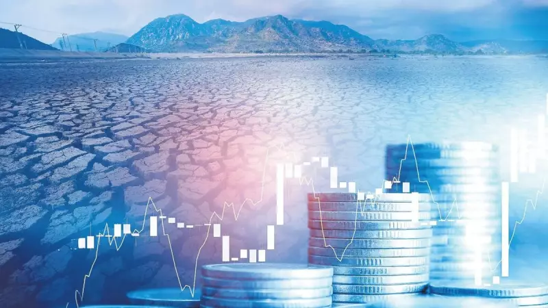 Kuraklık Enflasyonu Vurdu! Gıda Fiyatlarındaki Şok Artışın Arkasındaki Gizli Neden