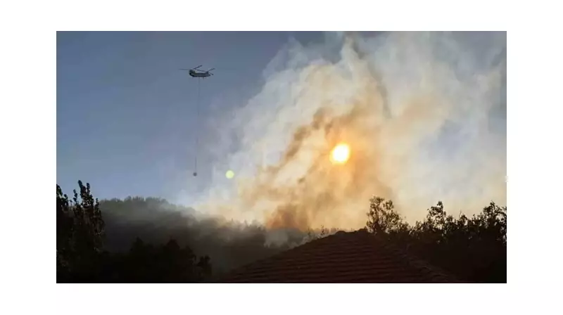 Köyceğiz'deki Orman Yangını Son Dakika: Alevler Kontrol Altında! Bakan Yumaklı'dan Flaş Açıklama