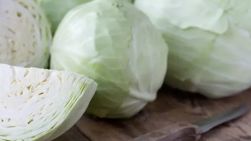 Lahana Kesmenin Püf Noktaları: Sarma Yapmak İçin Mükemmel Beyaz Lahana Nasıl Hazırlanır?