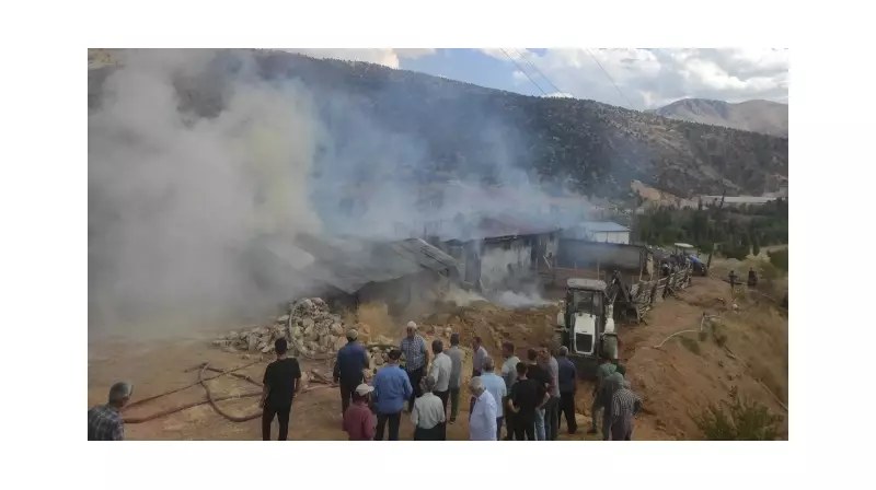 Malatya'da Feci Ahır Yangını: 10 Büyükbaş Hayvan Can Verdi!