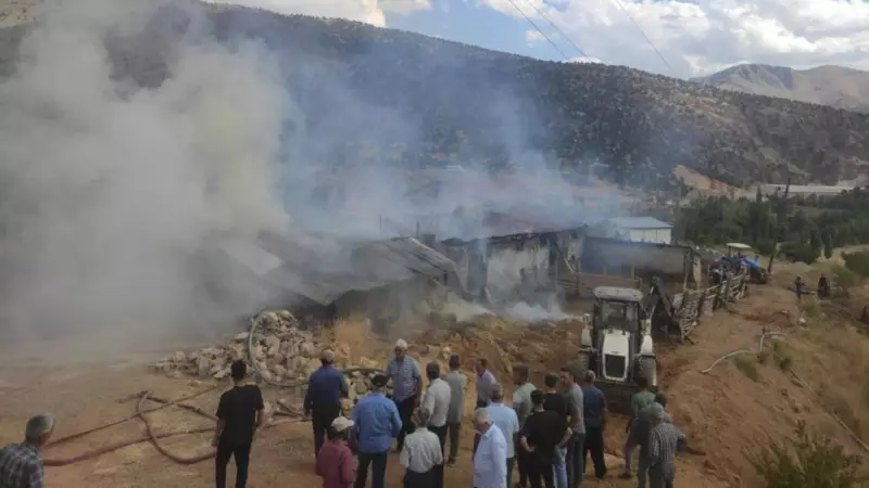 Malatya'da Feci Olay: 10 Büyükbaş Hayvan Donarak Can Verdi!