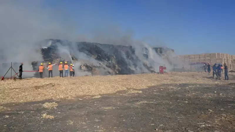 Mardin'de Dev Mısır Balyası Yangını: Alevler Geceyi Aydınlattı!