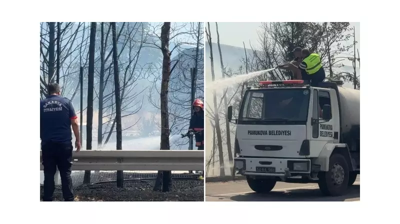 Mersin'deki Orman Yangınında Kritik Müdahale: Alevler Kontrol Altında!