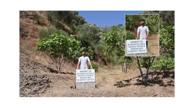 Mezar Taşı Değil, Herkes Yesin! Uzmanlar Şaşırtan Gıdayı Açıkladı