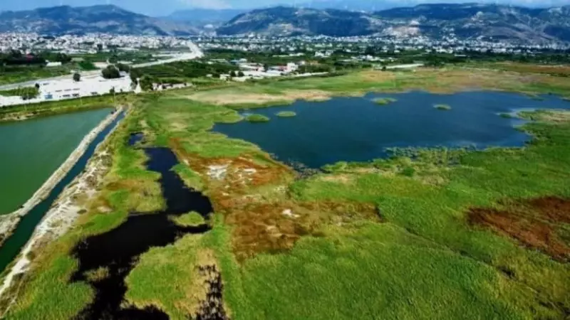 Milleyha Sulak Alanı Artık Koruma Altında: Doğa Cennetine Resmi Kalkan!