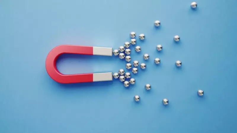 Mıknatıs Çeşitleri ve Türleri: Doğanın Gizemli Çekim Gücünü Keşfedin!