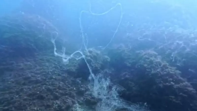 Müsilaj Geri Döndü! Marmara'nın Kabusu Bitmedi, Yeni Görüntüler Endişe Yarattı