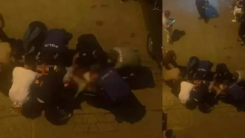 Muğla'da Arkadaş Cinayeti: Cezası 15 Yıl Hapis!