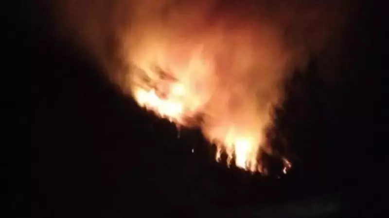 Muğla'da Orman Yangını! Alevlere Havadan ve Karadan Müdahale Başladı