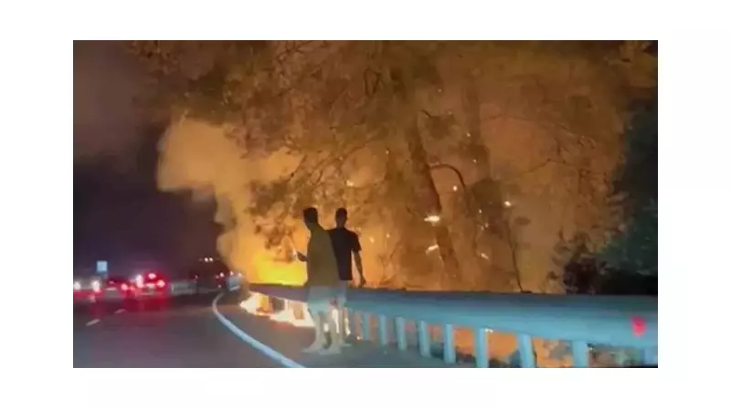 Muğla'da Sakar Geçidi'nde Çıkan Orman Yangını Rüzgarın Etkisiyle Büyüyor!