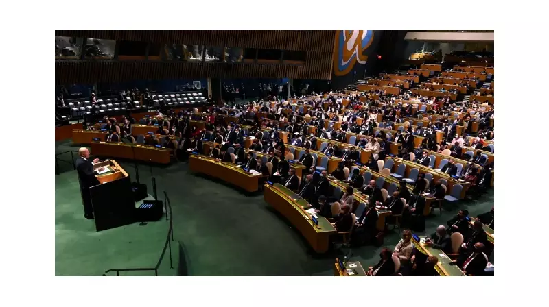 İnsan Hakları Zirvesi Kapıda! BM'nin 60. Oturumu Cenevre'de Başlıyor