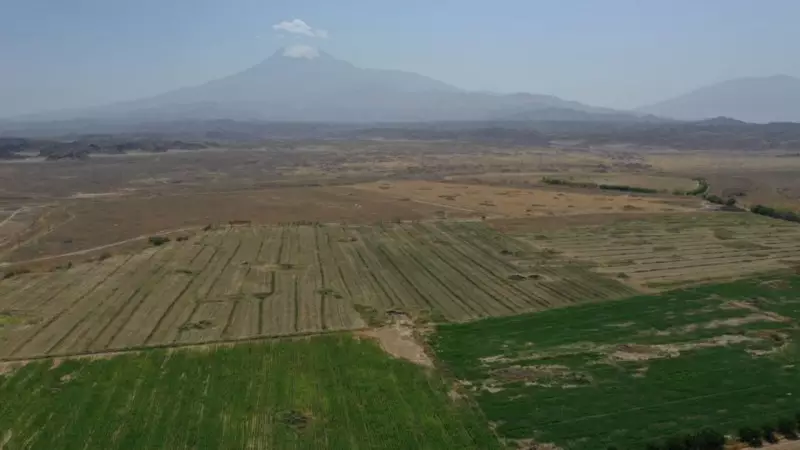 Çorak Topraklardan Bereketli Tarlalara: 8 Yılda Gerçekleşen Tarım Mucizesi!