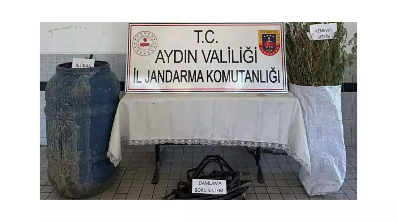 Ormanın Derinliklerinde Hint Keneviri Operasyonu: 5 Şüpheli Yakalandı!