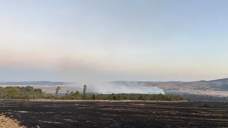 Çorum'da Orman Yangını: Alevlere Karşı Zorlu Mücadele!