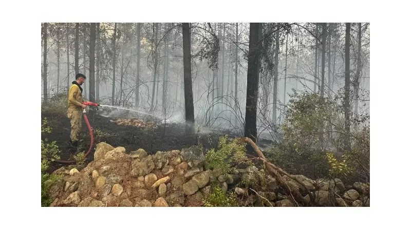 Osmaniye'de Orman Yangını: Havadan ve Karadan Büyük Mücadele!