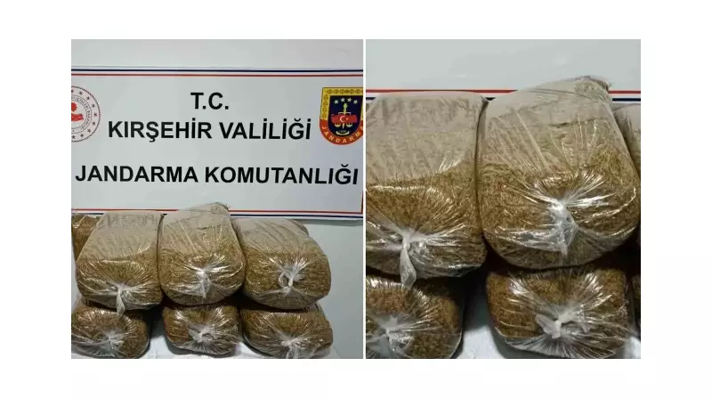 Otobüs Kontrolünde Şok Edici Keşif: 42 Kilo Kaçak Tütün Ele Geçirildi!
