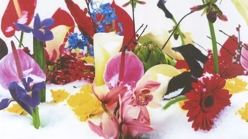 Pera Müzesi 20. Yılını Görkemli Bir Sergiyle Kutluyor: 'Bir Yıl, Bir Sergi' Kapılarını Açıyor!