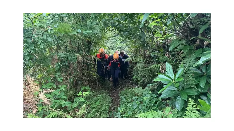 Rize'de Çay Bahçesinde Yaşanan İnanılmaz Kaza! Kurtarma Anları Nefes Kesti