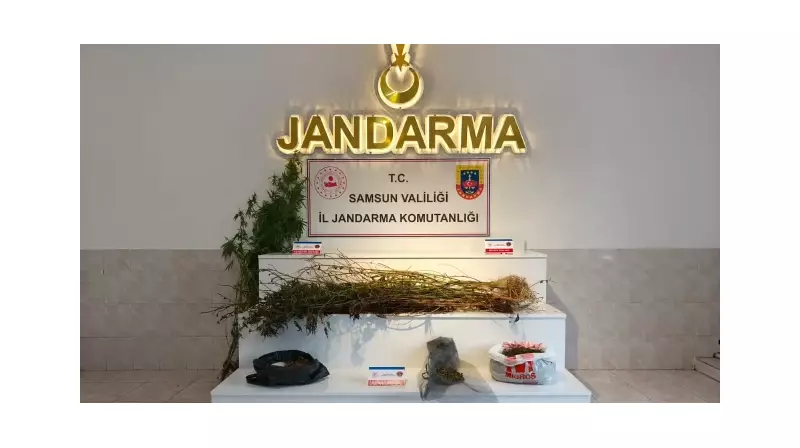 Samsun'da Gece Yarısı Operasyonu: 3 Zehir Taciri Tutuklandı!