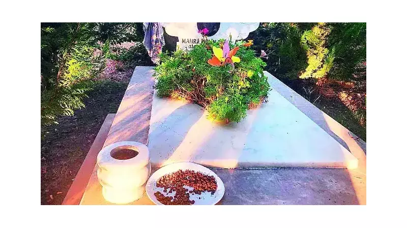 Sivas'ta Tüyleri Diken Diken Eden Vahşet: Şehit Mezarına Köpek Maması Bırakıldı!