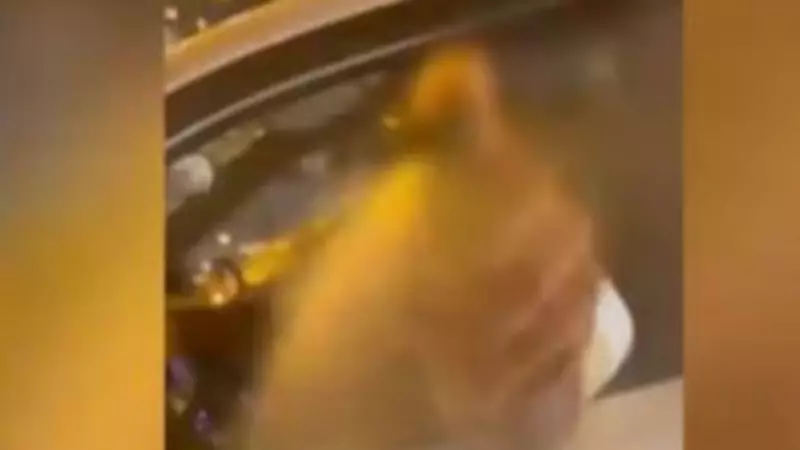 Üsküdar'da Trafik Dehşeti: Kadın Sürücüye Biber Gazlı Saldırı! Şüpheli Yakayı Ele Verdi