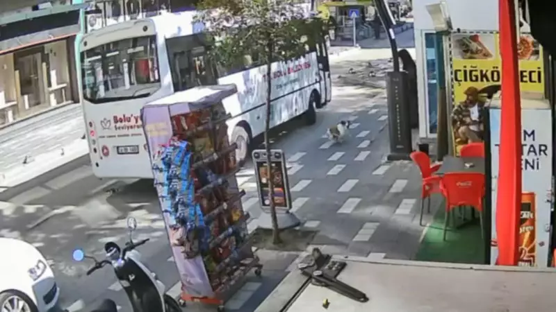 Sokakta Ayağı Ezilen Köpeğe, Yoldan Geçenlerin Vicdanı Sıcacık Bir Yuva Oldu!