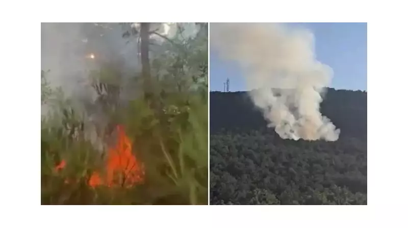 İstanbul'da Yeşil Alan Alarmı: Ormanlık Bölgede Alevler Yükseldi!