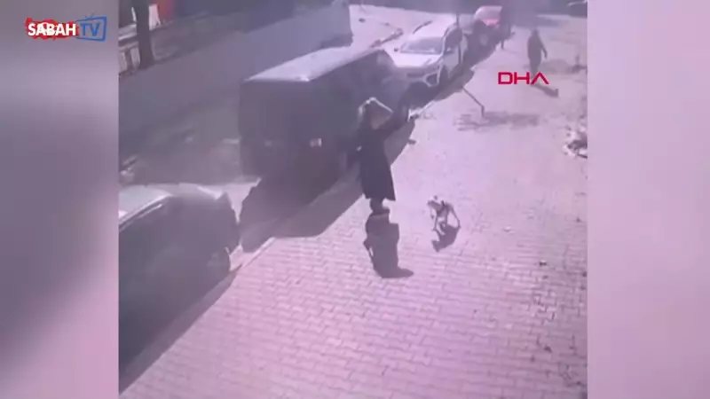 Sultangazi'de Yürüyüş Yapan Kadına ve Köpeğine Kedi Saldırısı! O Anlar Kamerada