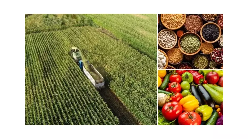 Tarım ve Gıda İhracatında Dev Sıçrama: 7 Ayda 15,5 Milyar Dolar!