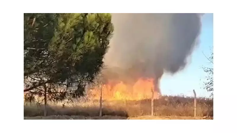 Tekirdağ'da Dev Yangın! Orman ve Bağ Evleri Tehdit Altında - Çok Sayıda Ekip Sevk Edildi