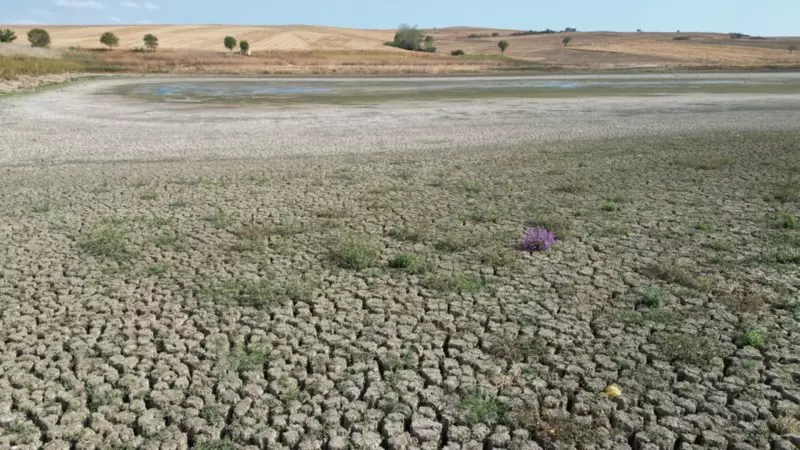 Tekirdağ'ın Göleti Alarm Veriyor: Su Seviyesi Kritik Seviyede!