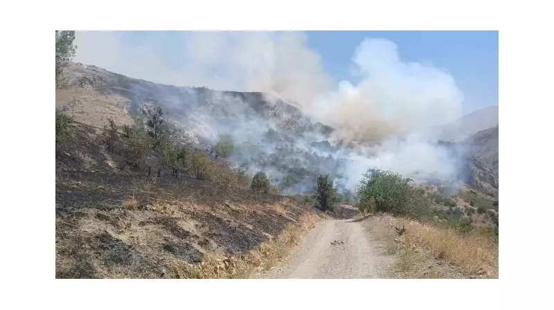 Türkiye-İran Sınırında Alevler Yükseldi: Vatandaşların Yangınla İmtihanı