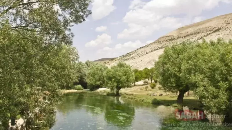 Türkiye'nin Köy Zengini İli Belli Oldu! İşte En Fazla Köye Sahip Şaşırtıcı İl