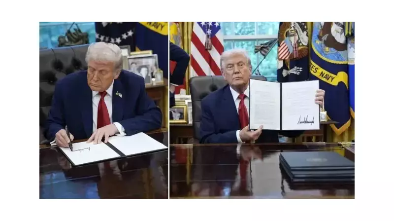 Trump'tan Ahşap Sektörüne Şok: %25 Gümrük Vergisi Kapıda!