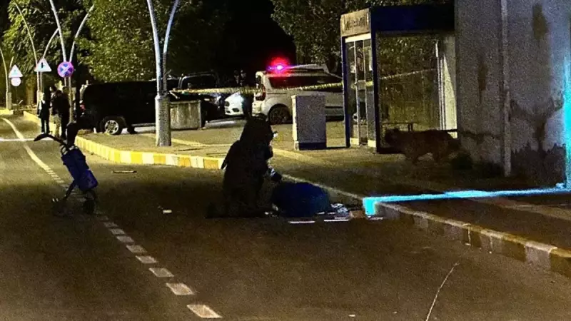 Tunceli'de Şüpheli Çanta Panığı: Şehrin Kalbinde Korku Dolu Anlar