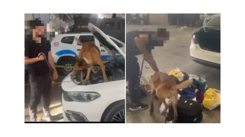 Van'da Şok Operasyon: Otomobilde Sahte Dolar ve Uyuşturucu Ele Geçirildi!