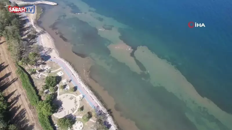 Yalova Sahillerinde Su Çekildi: Deniz 5 Metre Geri Çekildi, Görenler Şaşkın!