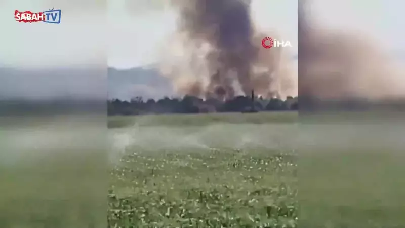 Yenişehir Kırsalında Alevler Panik Yarattı: Yangın Korku Dolu Anlar Yaşattı!