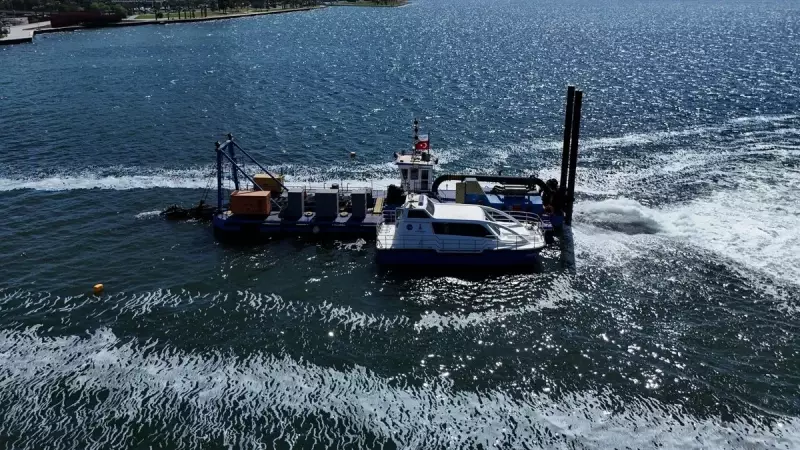 İzmir Körfezi'nde Balık Ölümleri Alarm Veriyor: İZSU Yetkilileri Sessiz!