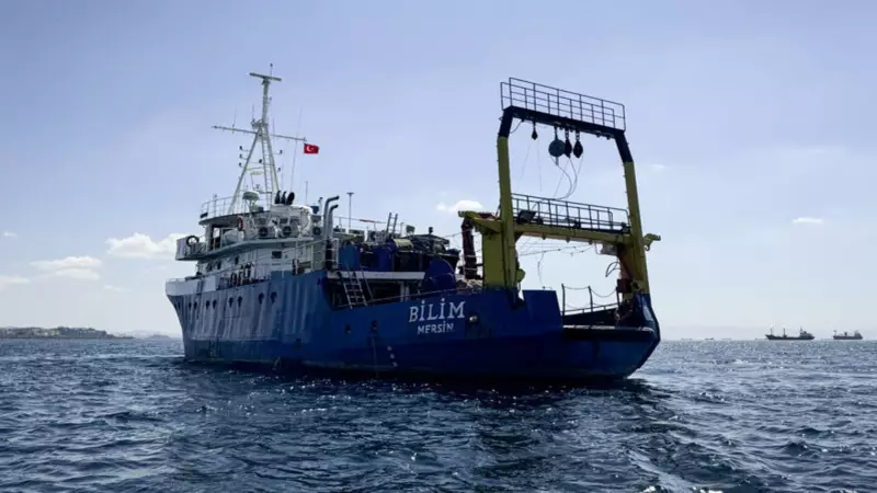 İzmir ve İstanbul'da Oksijen Alarmı: İki Körfez Nefes Almakta Zorlanıyor!