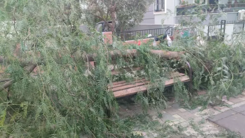 İzmir'de Ani Bir Fırtına: Devrilen Ağaç İki Kişiyi Yaraladı!