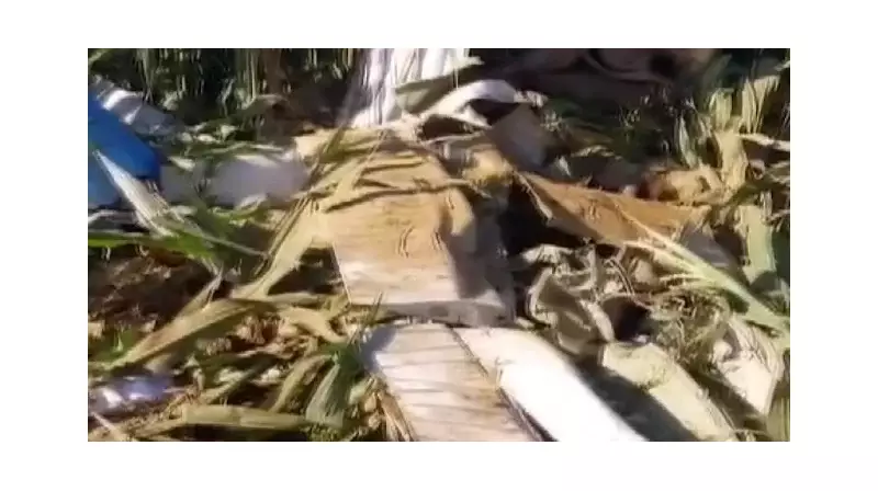 İzmir'de Feci Kaza: Eğitim Uçağı Düştü! Pilot Hayatını Kaybetti